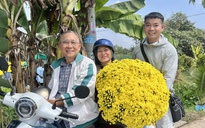 Rủ nhau về tận vườn giải cứu hoa tết nở sớm: Miền Tây không xa