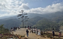 Đi du lịch dịp tết với người lạ: Nên hay không?