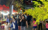 Điểm chụp ảnh tết và ăn uống mới toanh thu hút giới trẻ