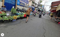 Bày hàng mua bán tràn lan trên vỉa hè, lòng đường