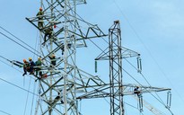 Phân công nhiệm vụ 2026, lĩnh vực xăng dầu và điện do ai quản lý?