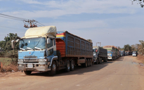 Cục Hải quan 'hỏa tốc' gửi 3 bộ gỡ vướng kiểm tra an toàn thực phẩm