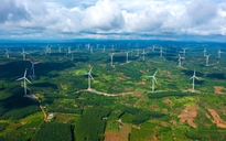 Trung Nam Group đầu tư 8 tỉ USD cho điện tái tạo, điện khí đến 2030