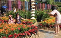 Lịch nghỉ Tết Nguyên đán Bính Ngọ 9 ngày liên tục: Dân mạng háo hức đếm ngược