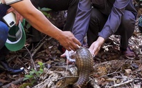 Thả động vật quý hiếm về Vườn Quốc gia Kon Ka Kinh