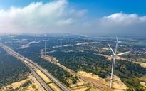 Hai nhà đầu tư quan tâm 3 dự án điện gió 19.354 tỉ đồng tại Gia Lai