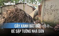 Lời kể vụ cây xanh ngã đè sập tường nhà dân, người đàn ông thoát nạn gang tấc