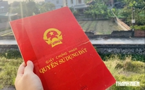 Cha mẹ mất sớm, con có được chia thừa kế nhà đất của ông bà?