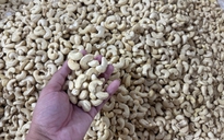 Xuất khẩu nhiều nhất thế giới, vì sao ngành điều Việt Nam vẫn bị ép giá?