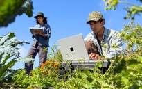 MacBook Pro M6 ra mắt với giá ngang ngửa iPhone Duo
