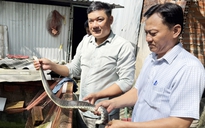 Mở hướng làm giàu từ cua đinh và rắn ri cá