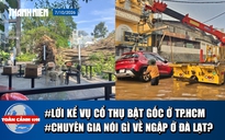 Toàn cảnh 17h: Lời kể lúc tháo chạy khi cây 20m đổ sập ở TP.HCM | Vì sao Đà Lạt mưa lớn ngập nhanh, rút nhanh?