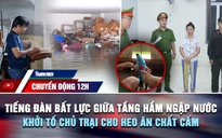 Chuyển động 12h: Tiếng đàn bất lực giữa tầng hầm ngập nước | Khởi tố chủ trại cho heo ăn chất cấm