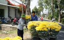 Làng hoa Mỹ Phong ở Đồng Tháp rạo rực, gần 1 triệu giỏ hoa tết ra phố