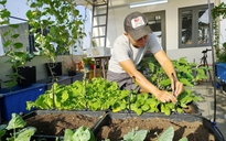 Cách để vườn rau sống sót qua kỳ nghỉ tết dài ngày thiếu sự chăm sóc