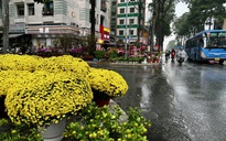 TP.HCM lại xuất hiện mưa trái mùa, nhà vườn lo mất xuân