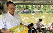 Làm giàu từ 'cỏ dại' ở vùng đất phèn mặn