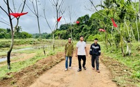 Xuân xưa với ký ức rang nếp ngự và hương tết quyến rũ