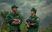 Tết ở xứ mưa 9 tháng: ‘Đặc sản’ giữa thung lũng Peng Lang