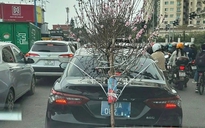 Xử lý xe biển xanh buộc cành đào che lấp biển số