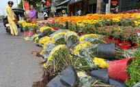 27 tết: Hoa cúc chất đống nằm la liệt ở TP.HCM, người bán nói câu nghẹn lòng