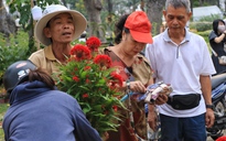 Chợ hoa tết TP.HCM chiều 27 tết, người bán cười tươi: 'Sắp về nhà rồi!'