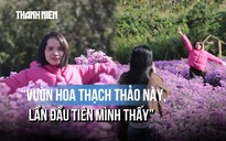 Vườn thạch thảo, cẩm tú cầu nở rộ giữa cao nguyên Đắk Lắk, giới trẻ đổ xô check-in