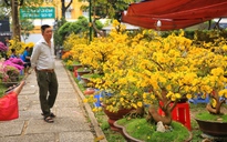 Người bán hoa tết ở TP.HCM cười tươi như hoa: 'Bí quyết là... không nói thách'