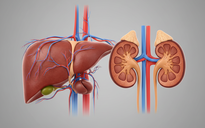 Bảo vệ gan, thận dịp tết: Bác sĩ chỉ cách ăn uống để không ‘quá tải'