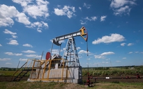 Giá xăng dầu hôm nay 2.2.2026: Lao dốc, mất hơn 2 USD