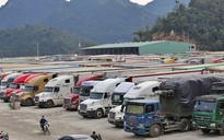 Chính phủ tạm dừng Nghị định 46 đến hết ngày 15.4