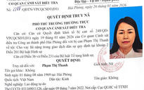 Truy nã 'bà trùm' đất cảng cho vay nặng lãi 338 tỉ đồng