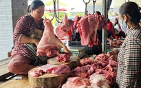 Giá heo hơi hôm nay 11.3.2026: Đà giảm chưa dứt