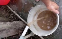 Nước sinh hoạt đục ngầu, gần 1.400 hộ dân ở Đồng Tháp sống trong lo lắng