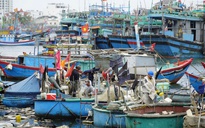 Bầu cử Quốc hội: Gia Lai vận động ngư dân dừng ra khơi để tham gia bầu cử