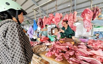 Giá heo hơi hôm nay 16.3.2026: Đà giảm tạm ngừng