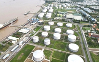 Tin tức đặc biệt trên báo in Thanh Niên 17.3.2026