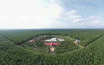 VRG phát động cuộc thi ảnh, video 'Sắc màu ngành cao su Việt Nam'