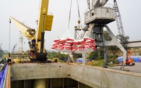 Giá phân bón tăng vì nguồn cung bị ảnh hưởng