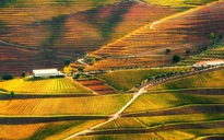 Báo Anh chọn hai điểm đến ở Việt Nam vào top đẹp nhất thế giới