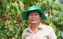 Cà phê Việt từng bước khẳng định vị thế tại thị trường quốc tế