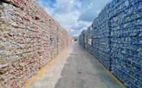 Tin tức đặc biệt trên báo in Thanh Niên 27.3.2026