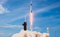 Starlink đạt mốc 10.000 vệ tinh trên quỹ đạo