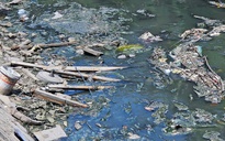 Ô nhiễm kênh 19 Tháng 5 ở TP.HCM: Rác thải bủa vây, nước đen bốc mùi thối