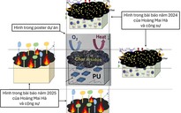 Bộ GD-ĐT sẽ xác minh tính liêm chính của cuộc thi nghiên cứu khoa học, kỹ thuật