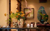 Triển lãm gốm Chu Đậu và nghệ thuật cắm hoa Ikebana