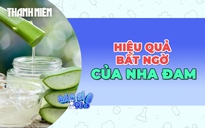 Vì sao nha đam được cho là thần dược để bảo vệ sức khỏe?