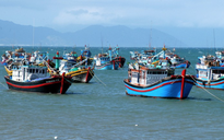 TP.HCM chuẩn bị sẵn sàng đón Đoàn thanh tra thẻ vàng IUU