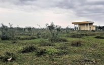 Sân vận động thi công dang dở rồi bỏ hoang