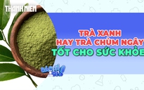 Nên chọn trà chùm ngây hay trà xanh để tốt cho sức khỏe?